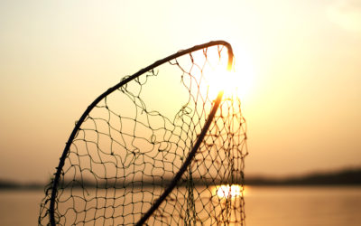 Abbau bestraft die Falschen